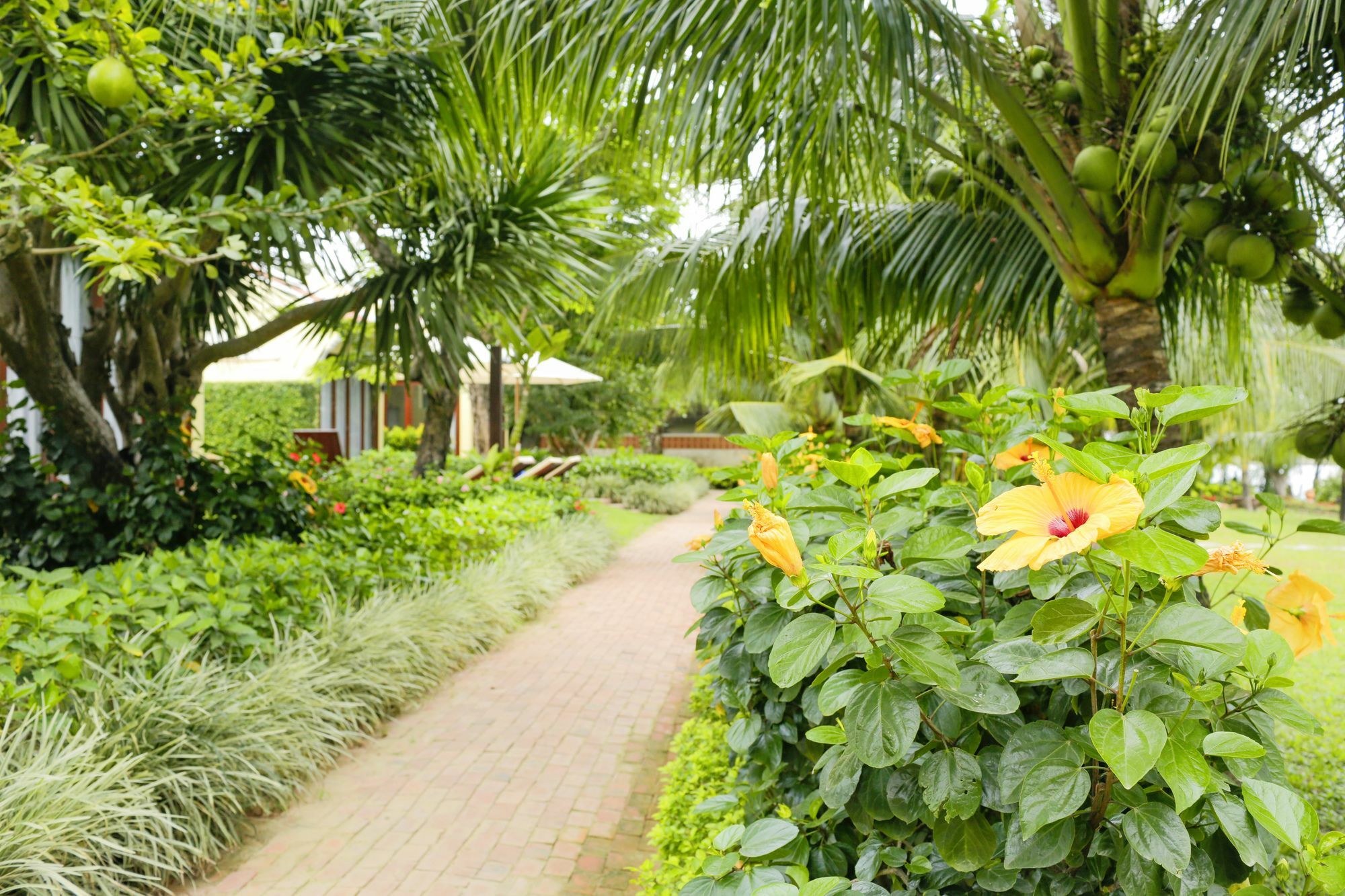 Mulberry Collection Silk Marina Imperial Wing Hotell Hoi An Eksteriør bilde